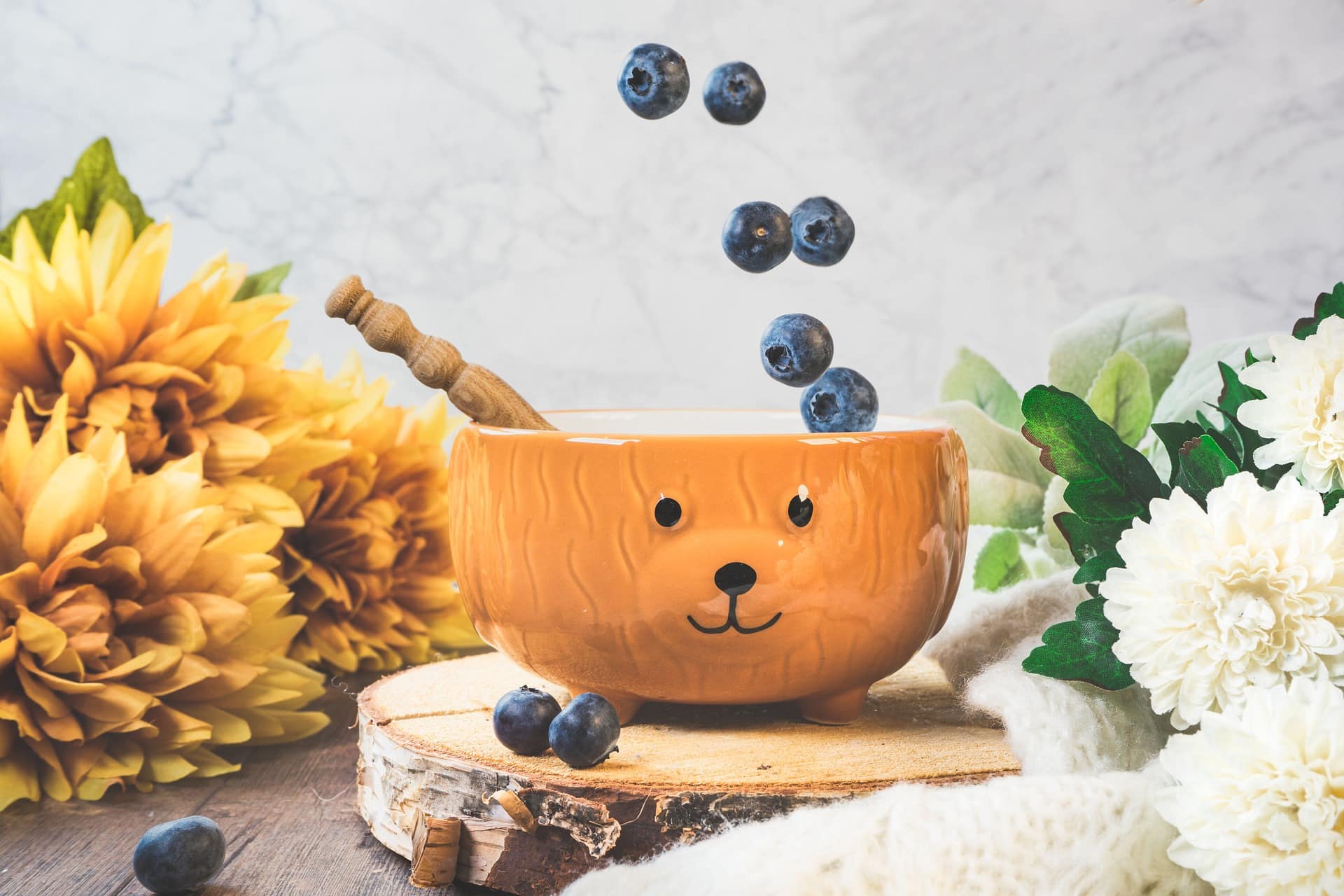 View of Can Dogs Eat Blueberries? A Vet’s Opinion - Vetnoms