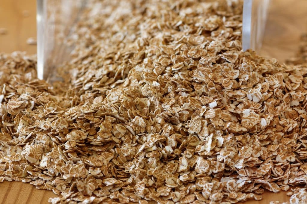 Can Dogs Eat Oatmeal 2