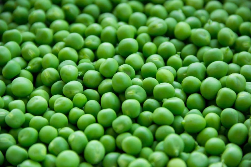 Can Dogs Eat Peas 2
