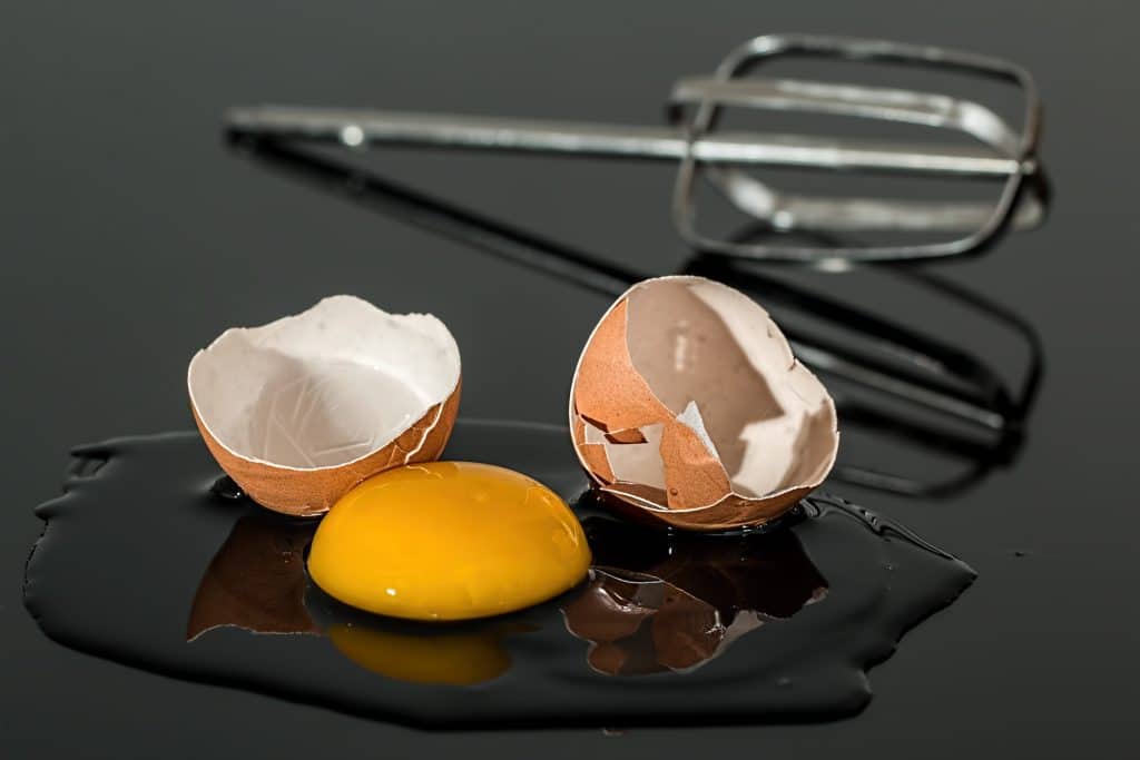 Can Dogs Eat Raw Eggs 2