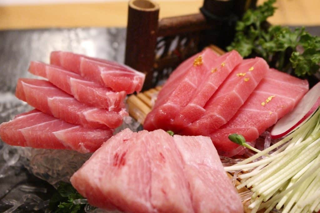 Can Dogs Eat Tuna 2