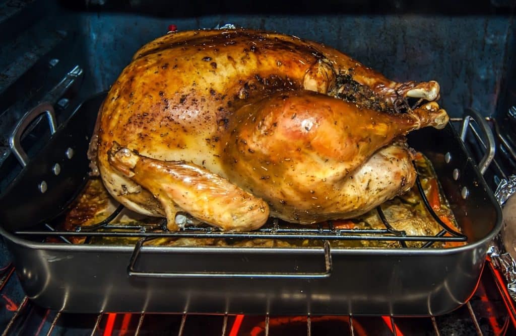 Can Dogs Eat Turkey 2