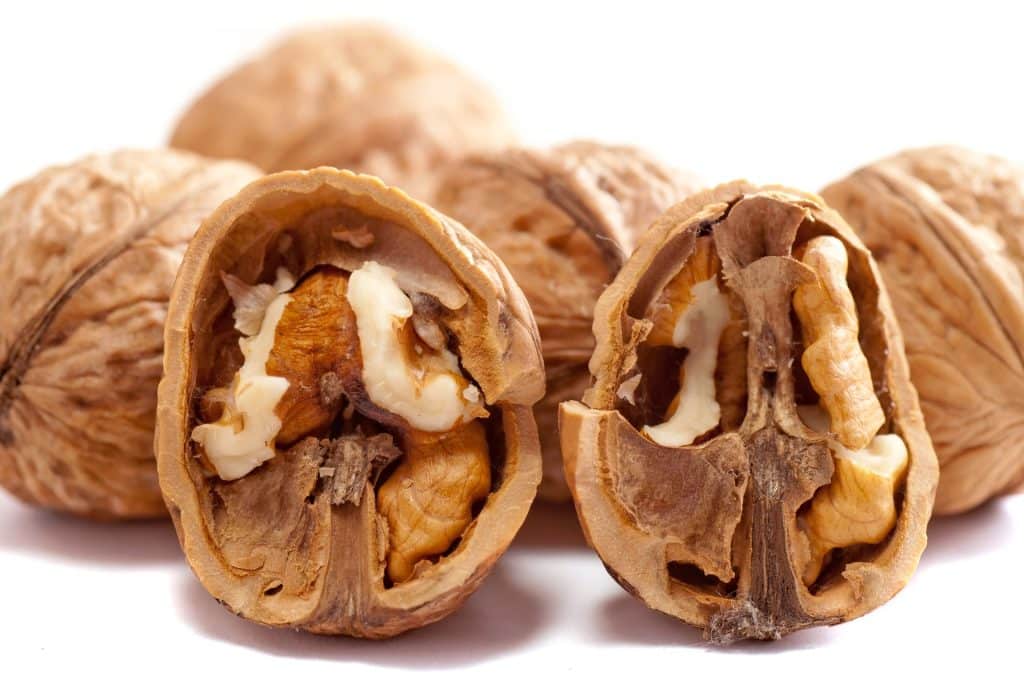 Can Dogs Eat Walnuts 1