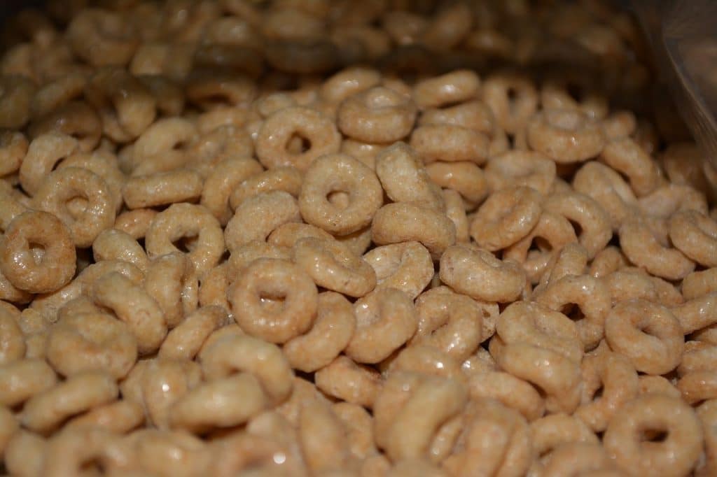 Can Dogs Eat Cheerios 1