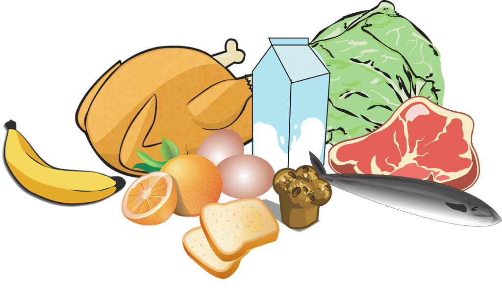 Can Dogs Eat Chicken 1