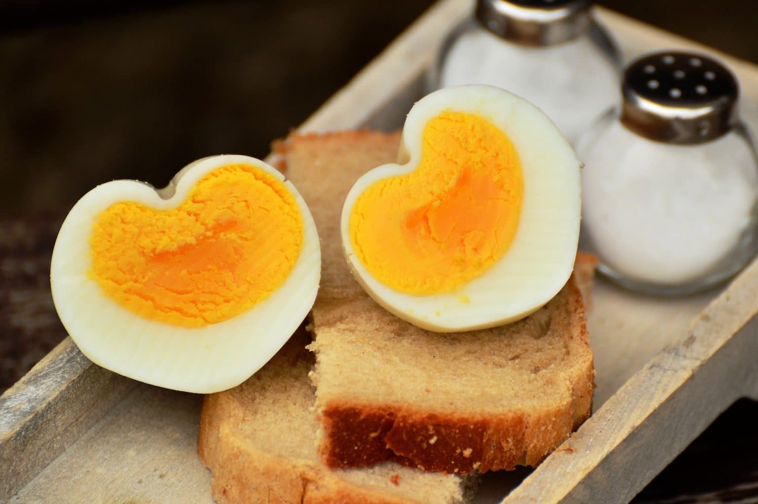 Picture of Can Dogs Eat Boiled Eggs? A Vet’s Opinion - Vetnoms