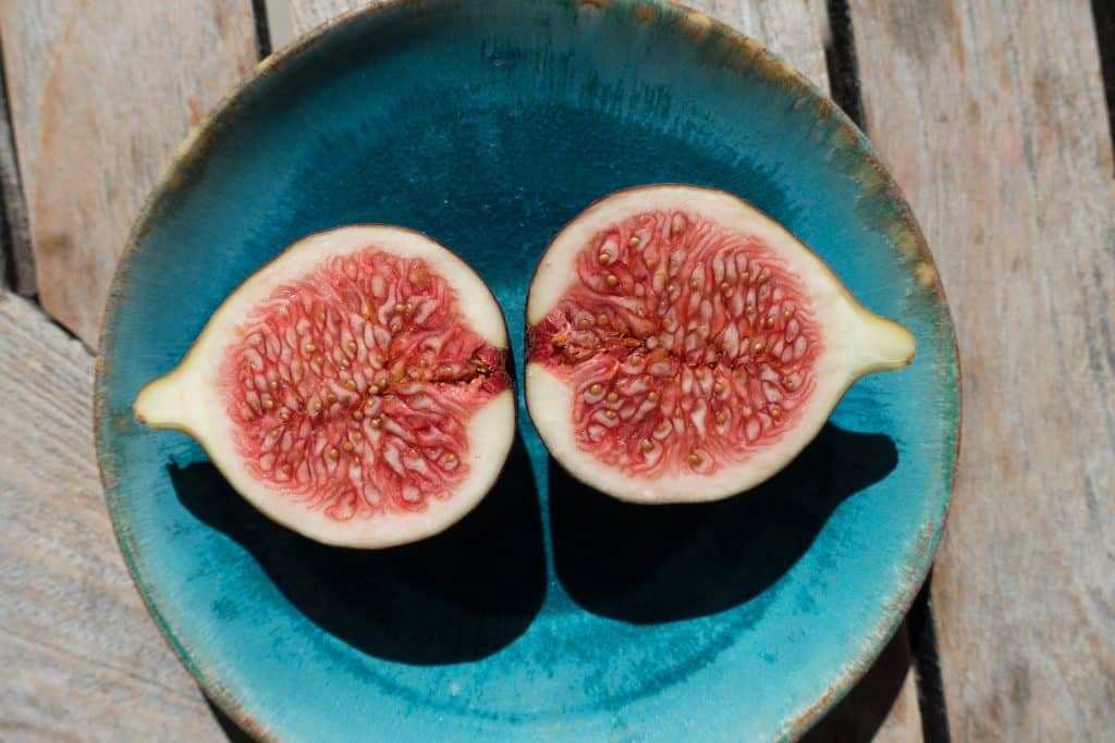 Can Dogs Eat Figs 1