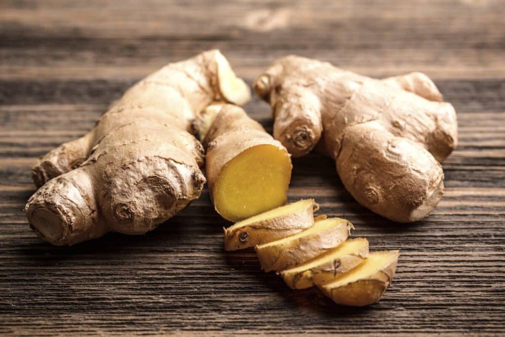 Can Dogs Eat Ginger 1