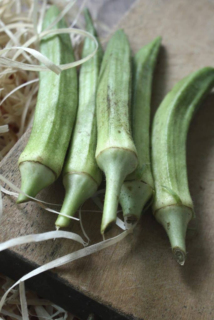 Can Dogs Eat Okra 1