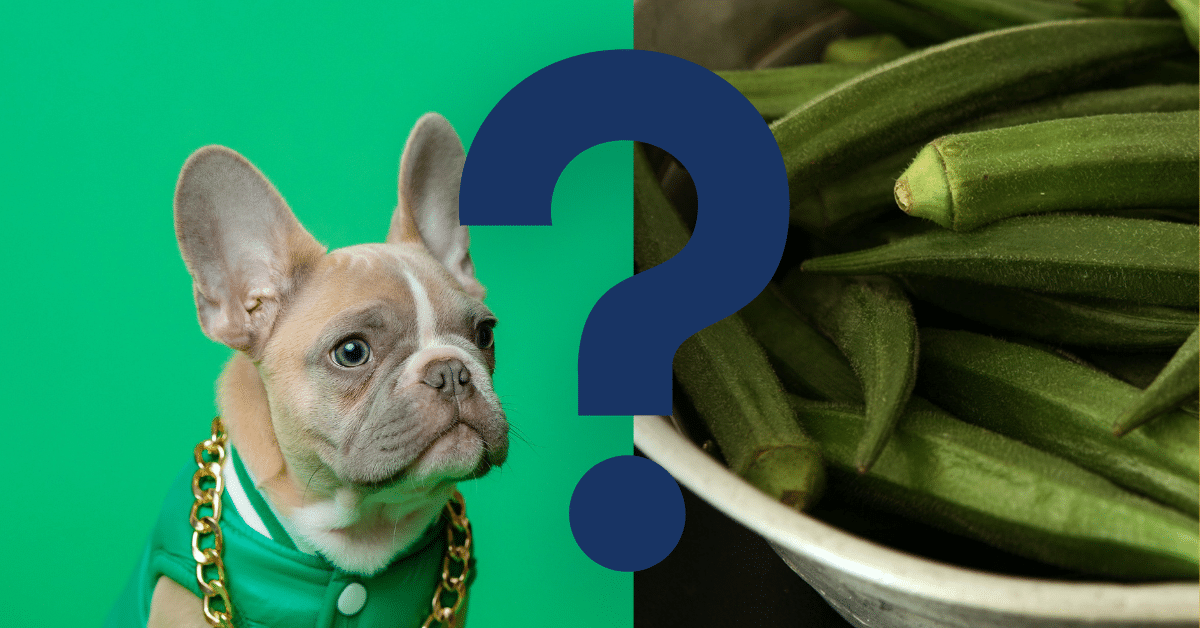 Can Dogs Eat Okra