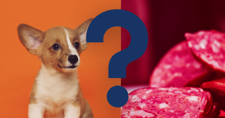 Can Dogs Eat Pepperoni