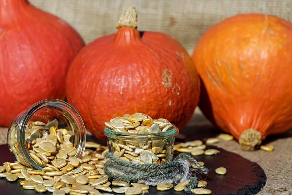Can Dogs Eat Pumpkin Seeds 2