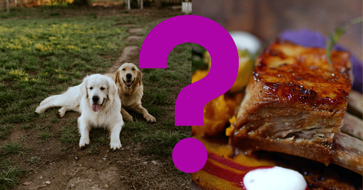 Can Dogs Eat Rib Bones