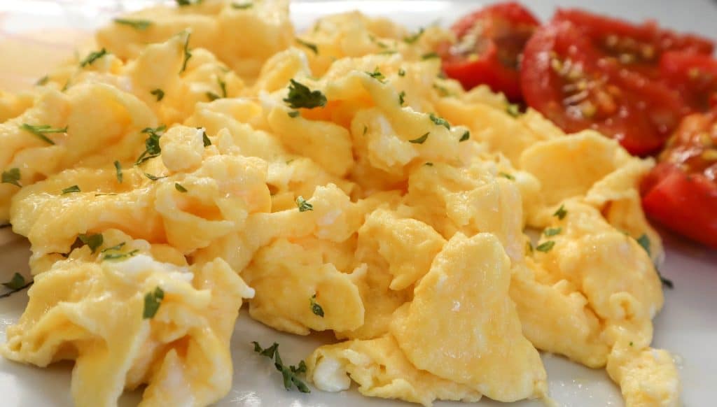 Can Dogs Eat Scrambled Eggs 1