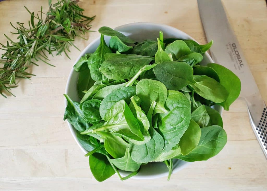 Can Dogs Eat Spinach 1