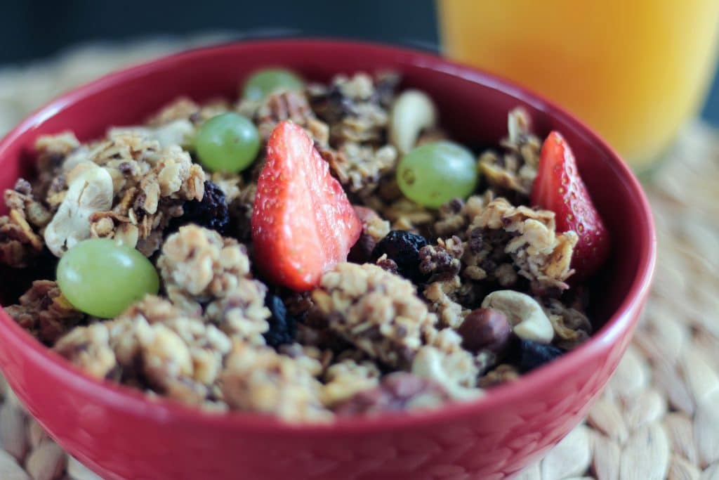 Can Dogs Eat Granola 1