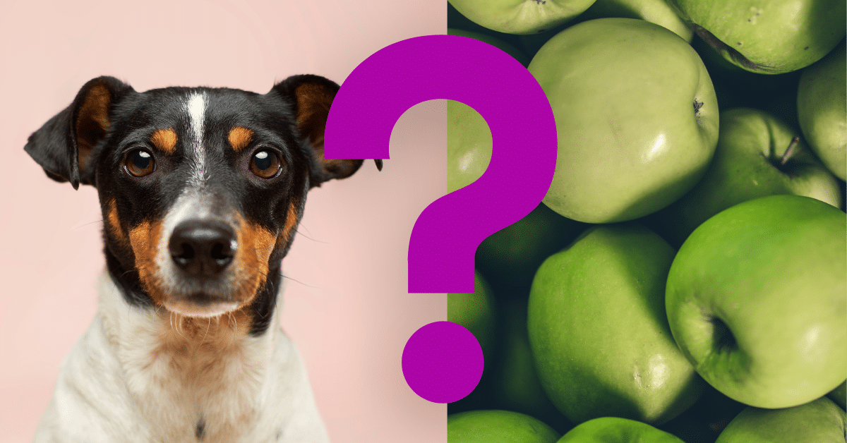 Can Dogs Eat Green Apples