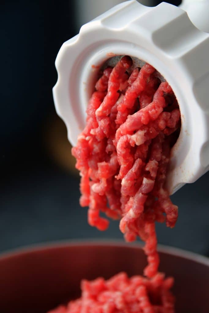 Can Dogs Eat Ground Beef 1