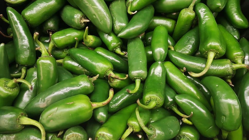 Can Dogs Eat Jalapenos 1