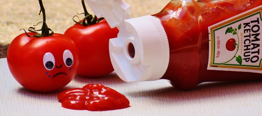 Can Dogs Eat Ketchup 1