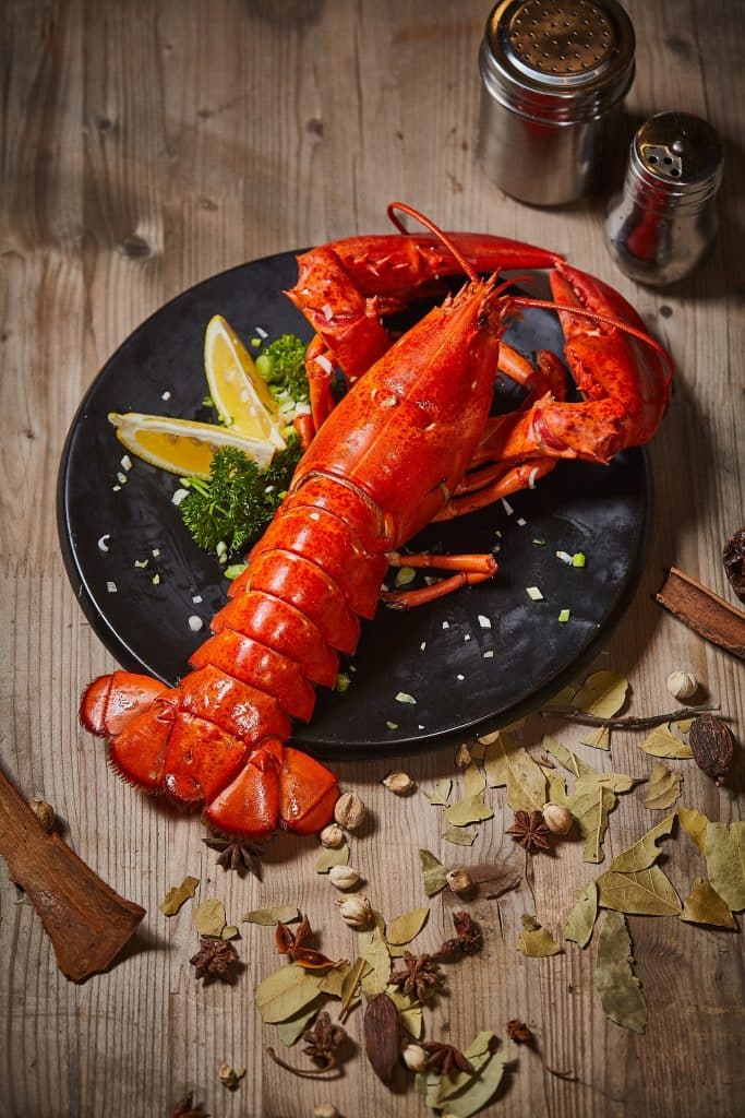 Can Dogs Eat Lobsters 1