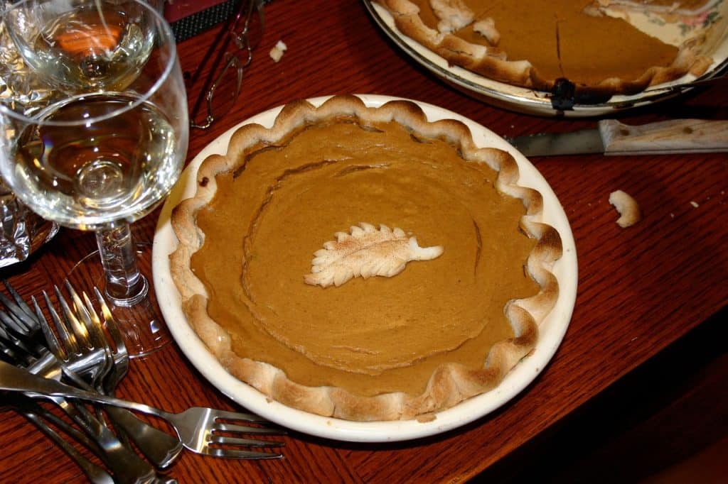Can Dogs Eat Pumpkin Pie 1