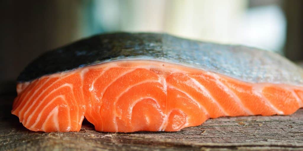 Can Dogs Eat Salmon Skin 1