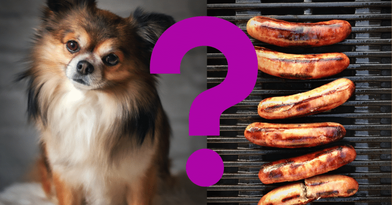 Can Dogs Eat Sausages