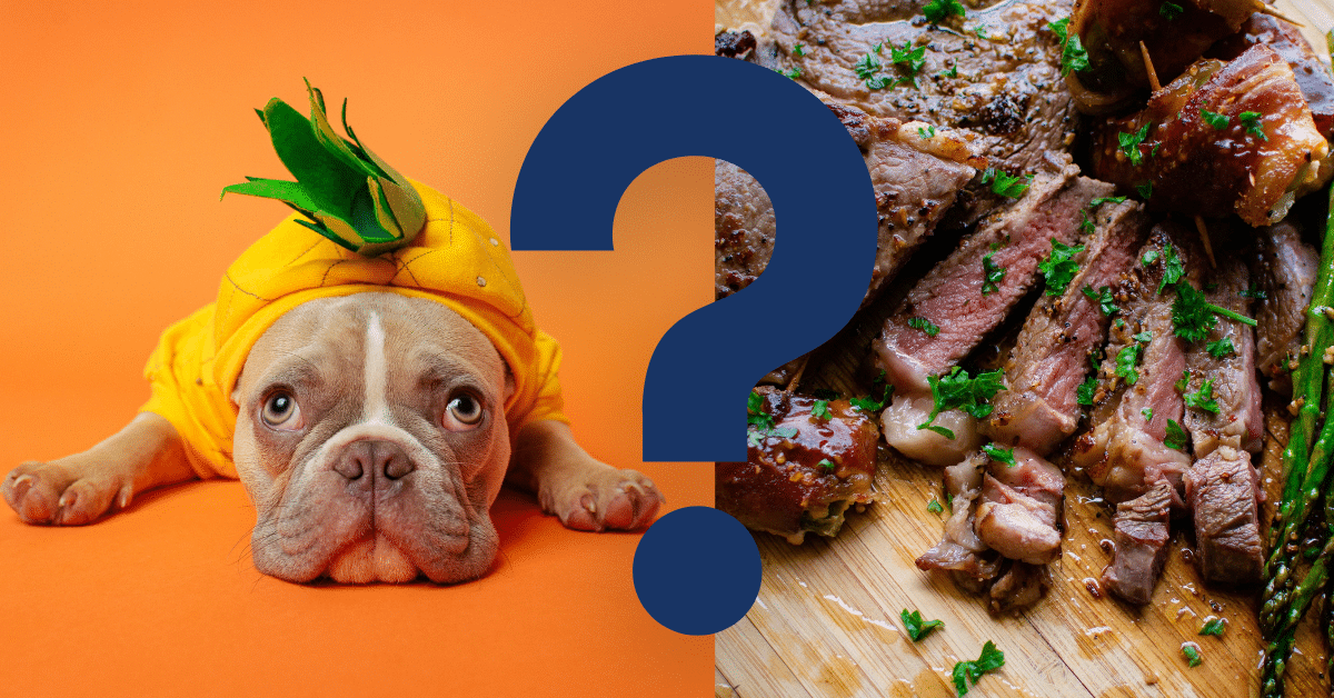 Can Dogs Eat Steak