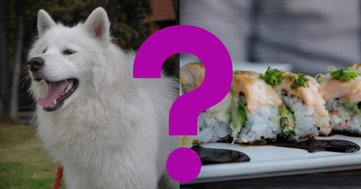 Can Dogs Eat Sushi