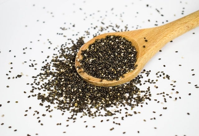 Can Dogs Eat Chia Seeds 1