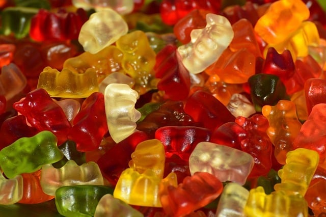 Can Dogs Eat Gummy Bears 1