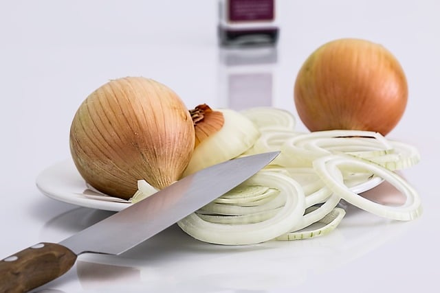 Can Dogs Eat Onions 1