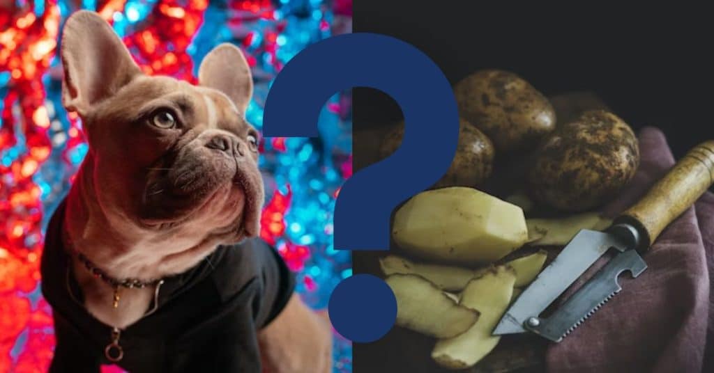 Can Dogs Eat Potato Skins