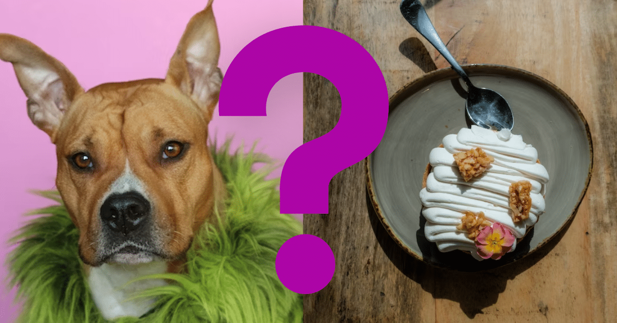 Can Dogs Eat Sour Cream