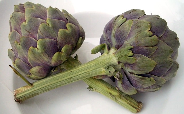 Can Dogs Eat Artichokes 1