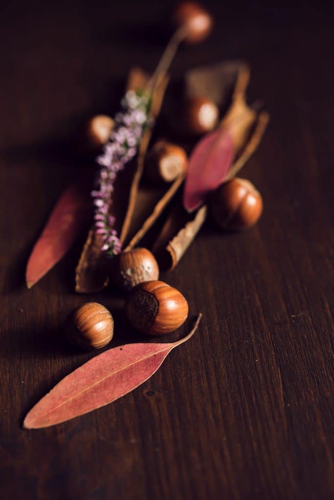 Can Dogs Eat Hazelnuts 1