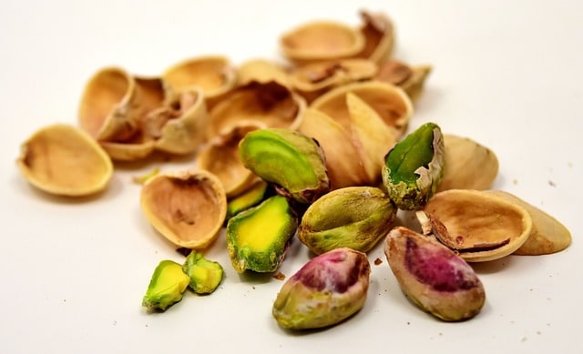 Can Dogs Eat Pistachio Nuts 1