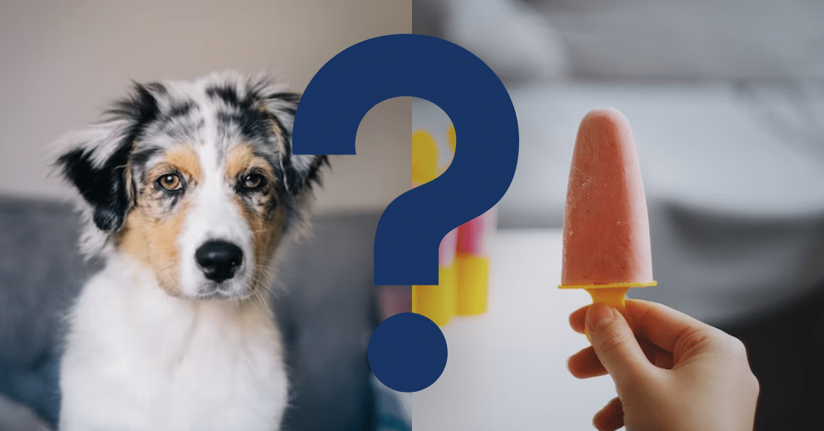 Can Dogs Eat Popsicles