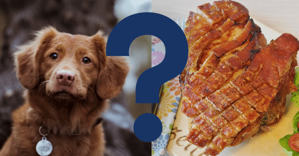 Can Dogs Eat Pork Rinds