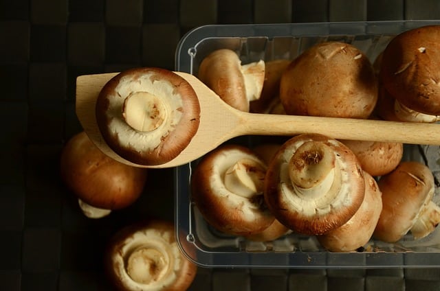 Can Dogs Eat Cooked Mushrooms 1