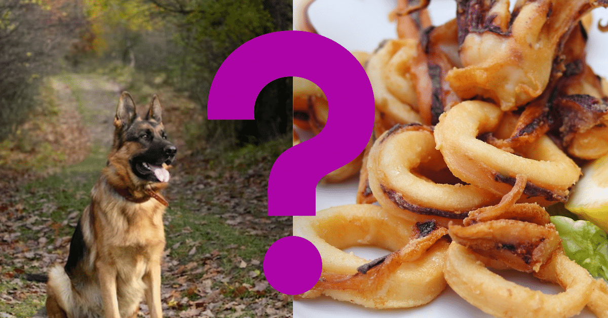 Can Dogs Eat Cooked Onions