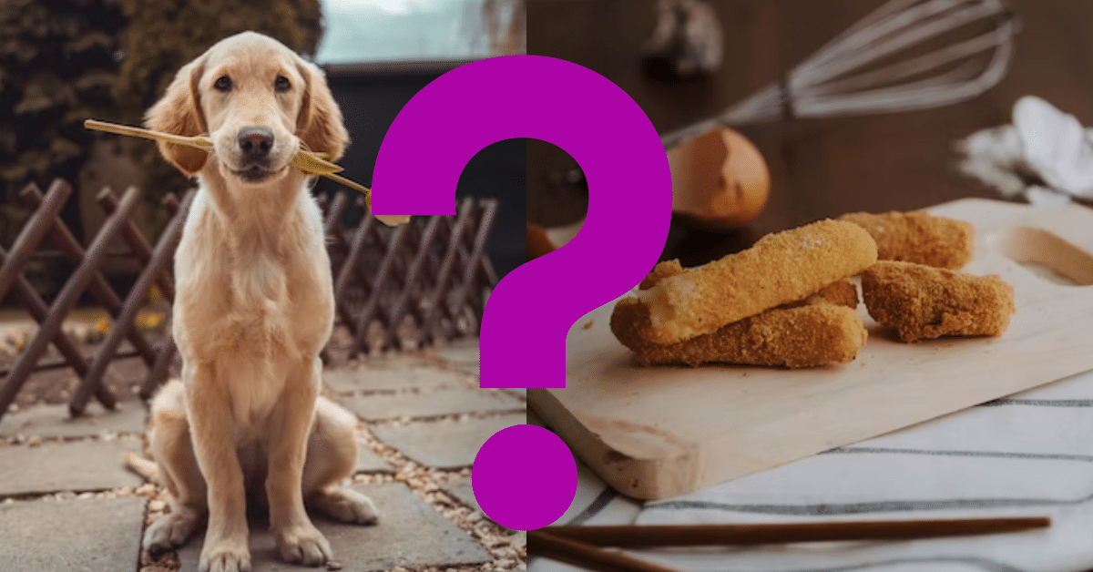 Can Dogs Eat Fish Sticks