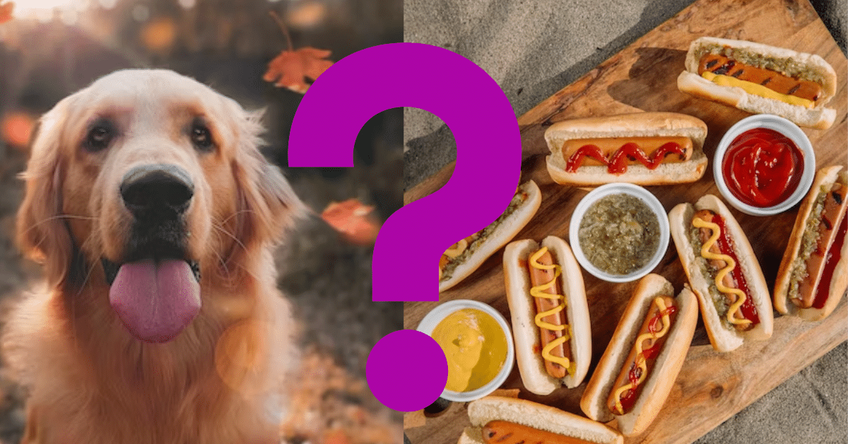 Can Dogs Eat Hotdogs