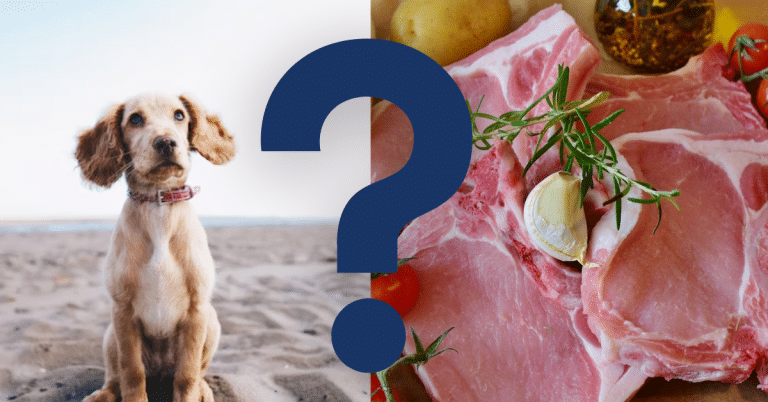 Can Dogs Eat Raw Pork