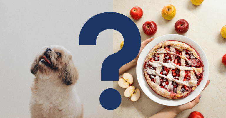 Can Dogs Eat Apple Pie