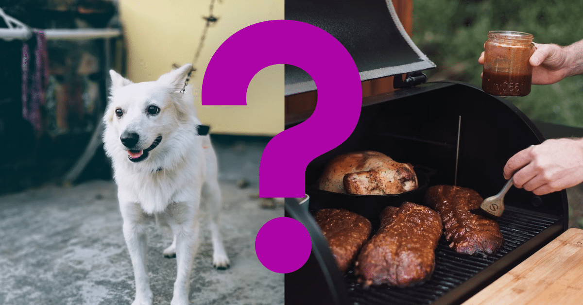 Can Dogs Eat Barbecue Sauce