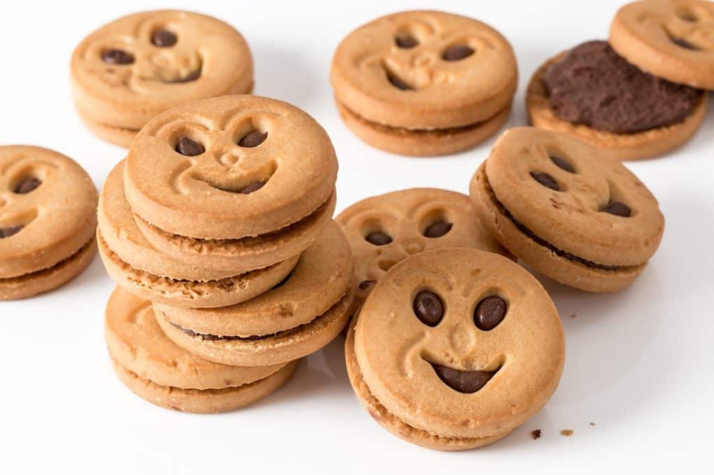 Can Dogs Eat Biscuits 1