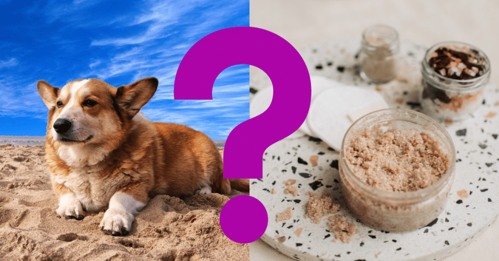 Can Dogs Eat Brown Sugar