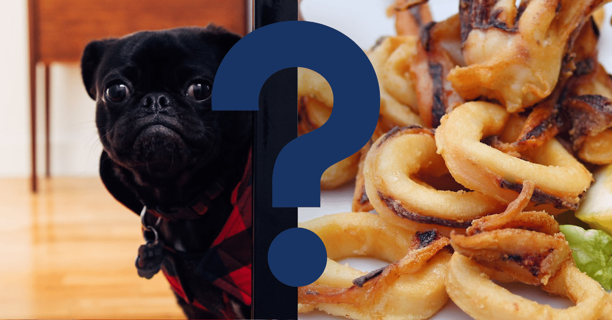 Can Dogs Eat Calamari
